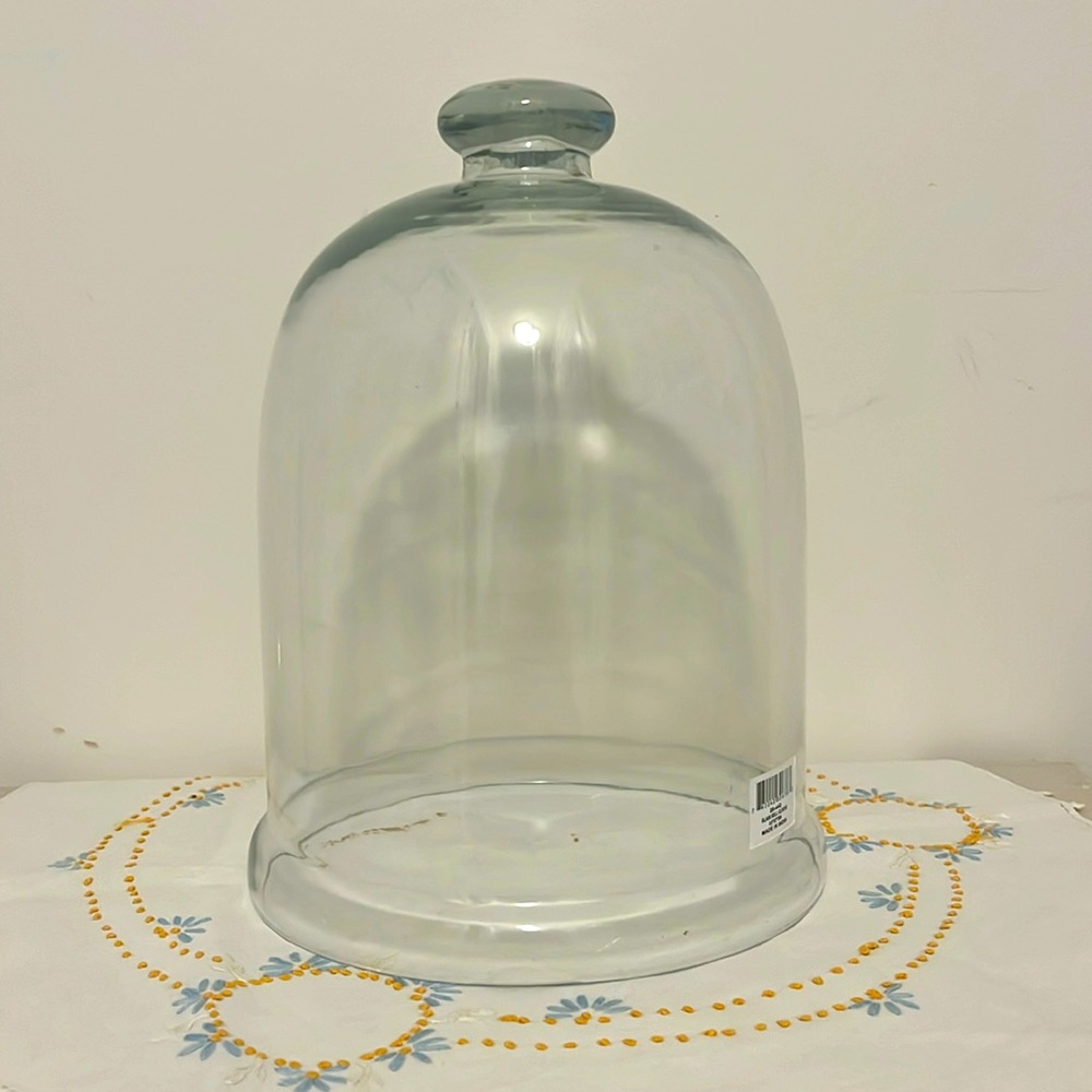 NWT Glass Bell Cloche